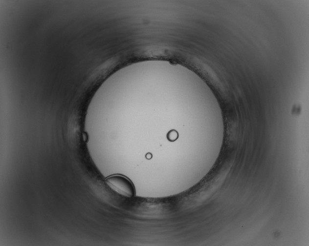 X0000102860260200809021431