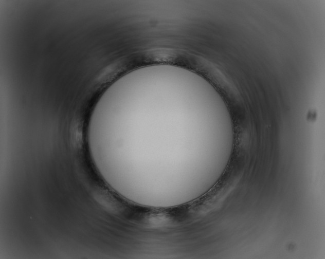 X0000102860262200809021431