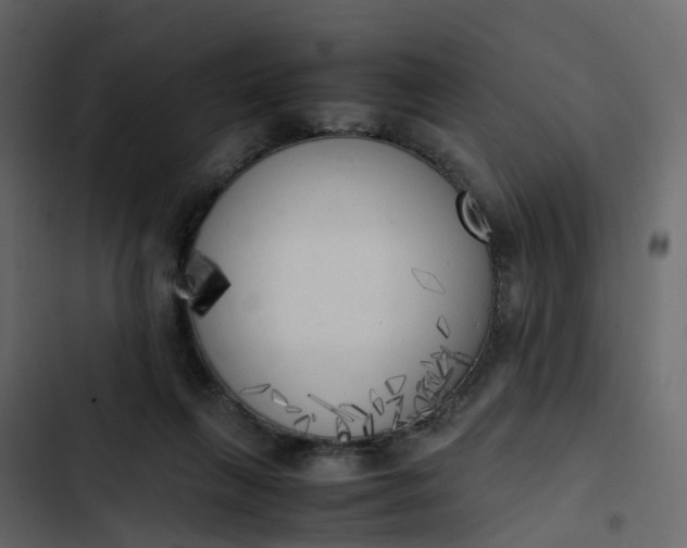 X0000102860263200809021431