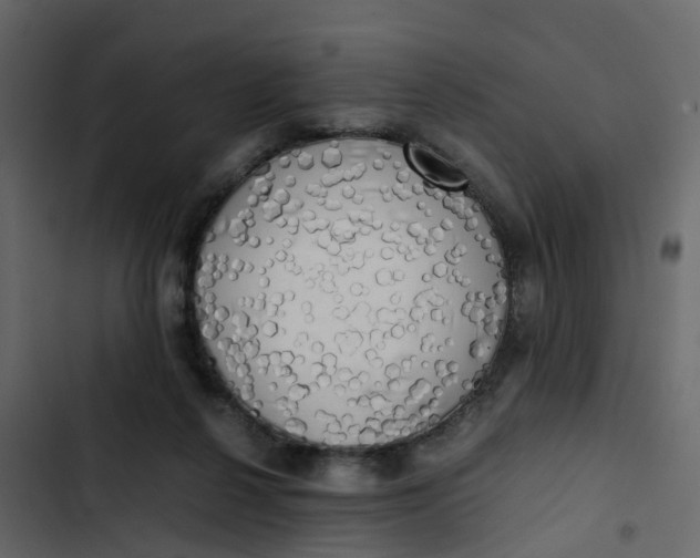 X0000102860264200809021431