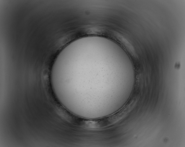 X0000102860265200809021431