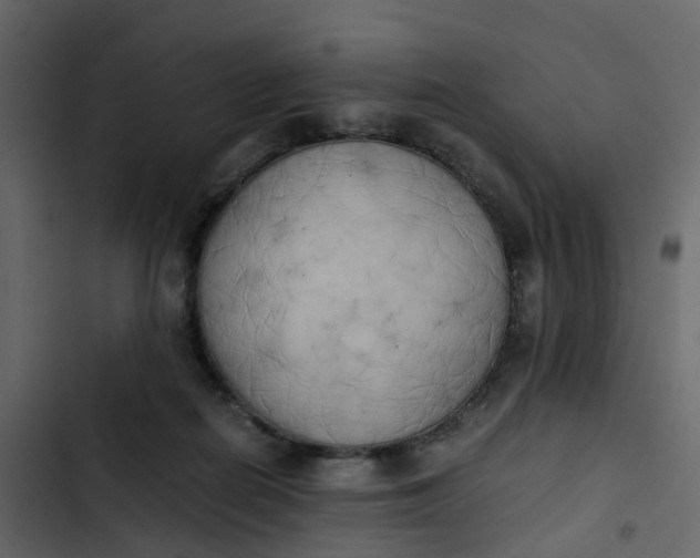 X0000102860266200809021431