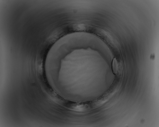 X0000102860267200809021431