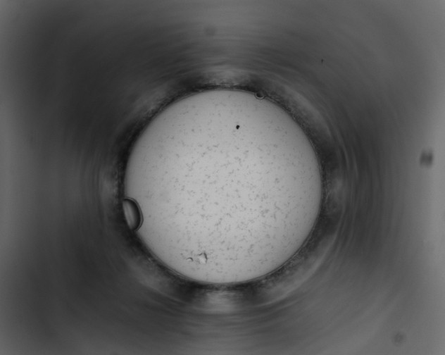 X0000102860268200809021431