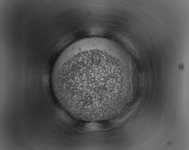 X0000102860269200809021431