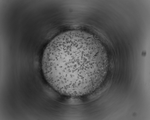 X0000102860270200809021431