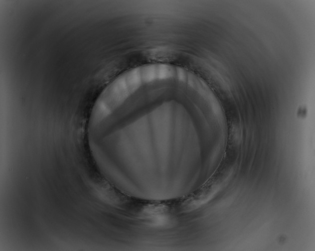 X0000102860271200809021431