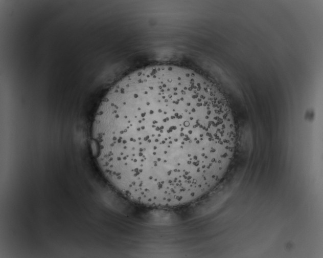 X0000102860272200809021431