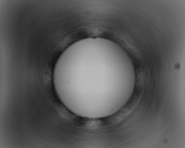 X0000102860274200809021431