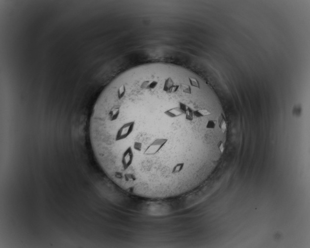 X0000102860275200809021431