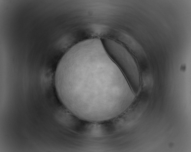 X0000102860276200809021431