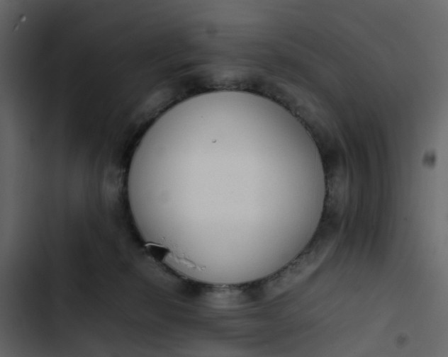 X0000102860278200809021431