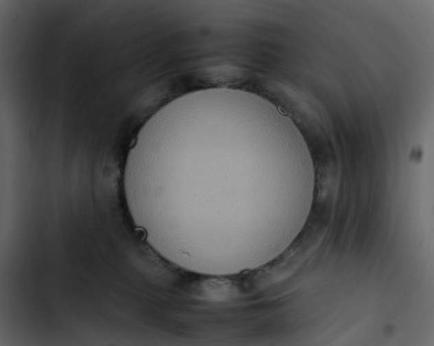 X0000102860279200809021431