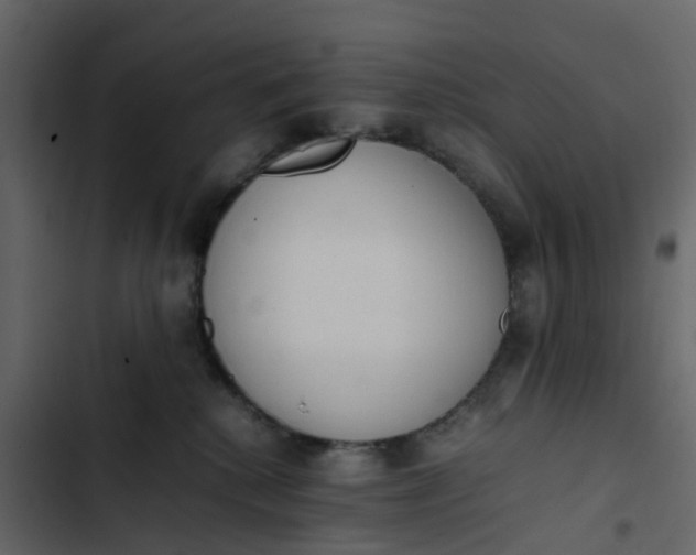 X0000102860280200809021431