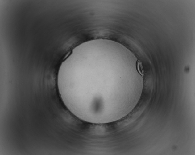 X0000102860282200809021431