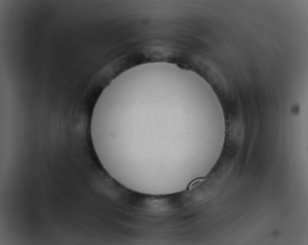 X0000102860283200809021431