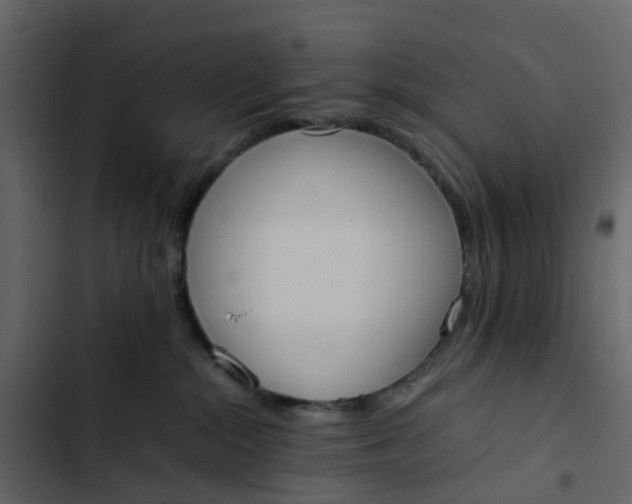 X0000102860284200809021431