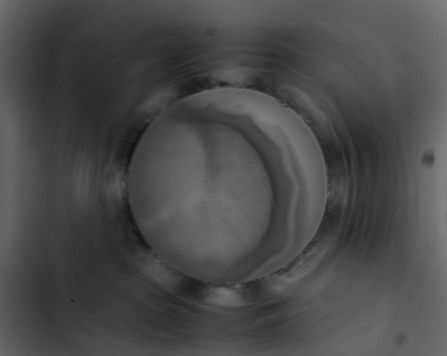 X0000102860285200809021431