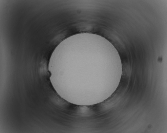 X0000102860287200809021431