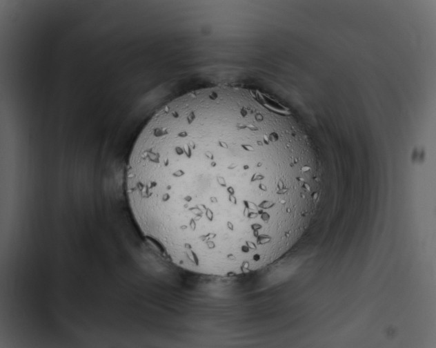 X0000102860288200809021431