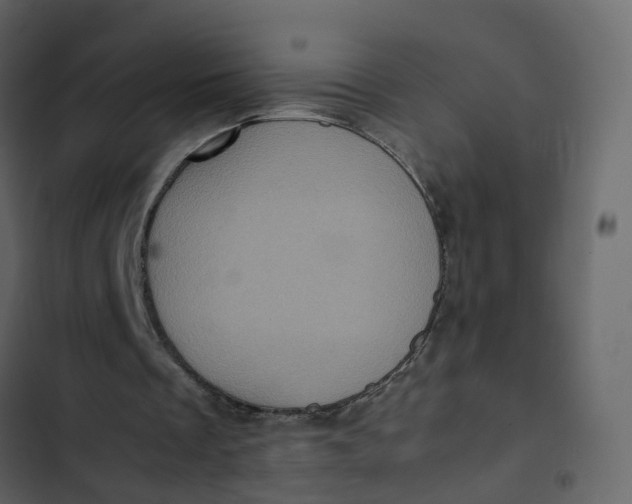 X0000102860289200809021431