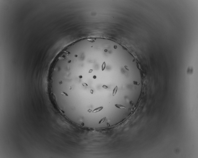 X0000102860290200809021431