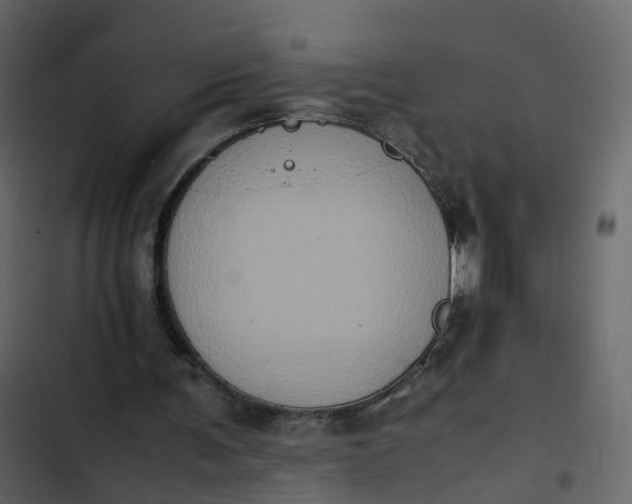 X0000102860291200809021431