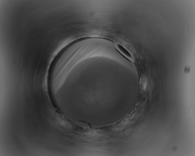 X0000102860292200809021431