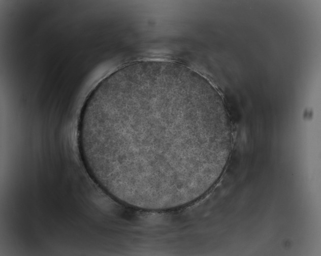 X0000102860293200809021431