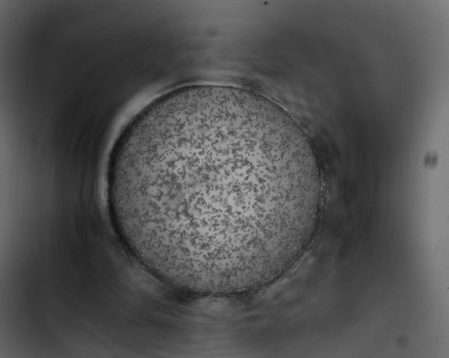 X0000102860294200809021431