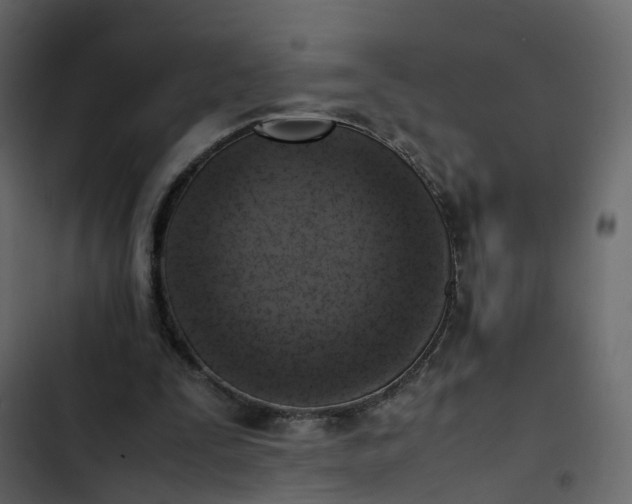 X0000102860295200809021431