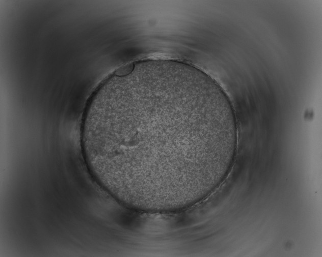 X0000102860297200809021431