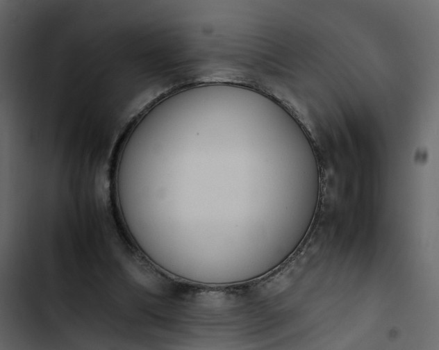 X0000102860298200809021431