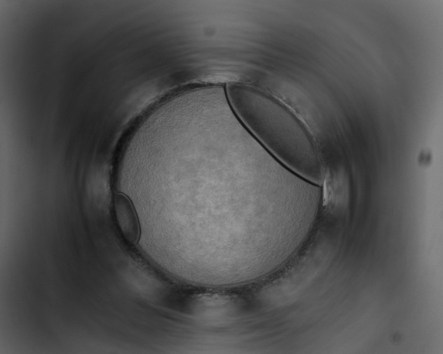 X0000102860300200809021431