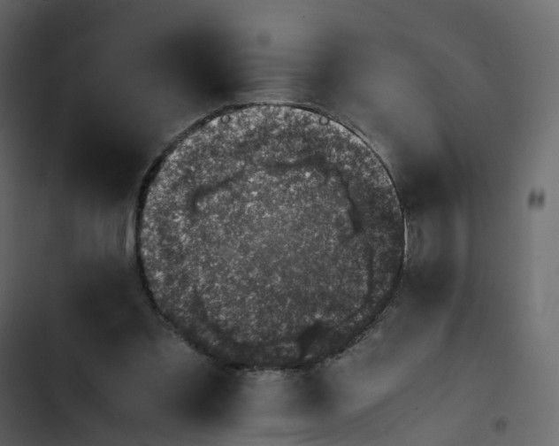 X0000102860301200809021431