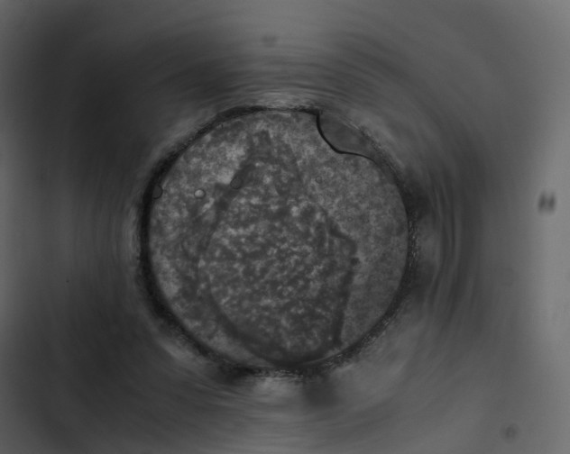 X0000102860303200809021431