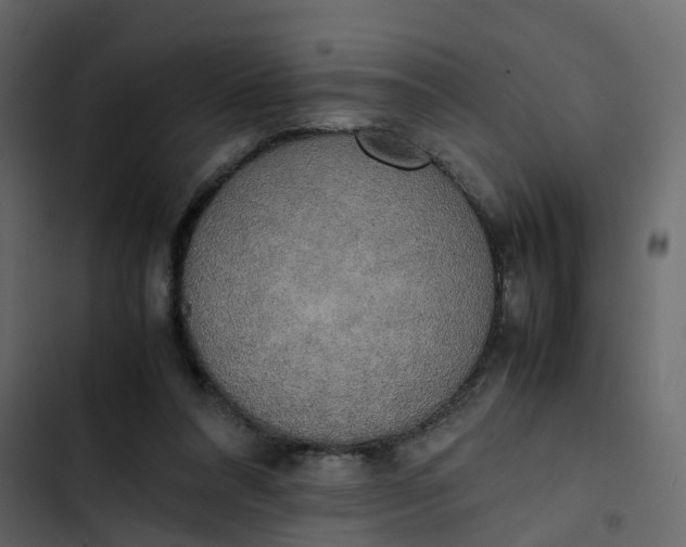 X0000102860304200809021431