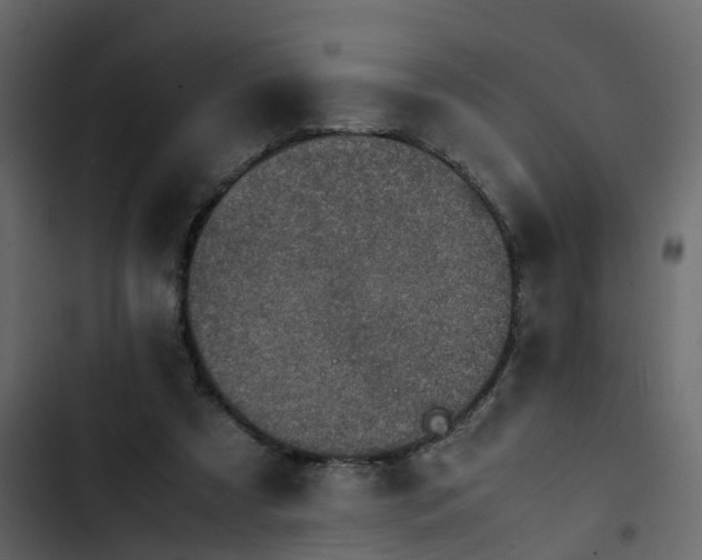 X0000102860305200809021431