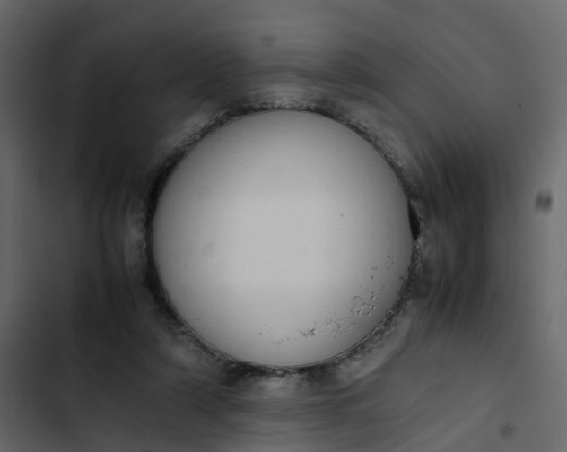 X0000102860306200809021431