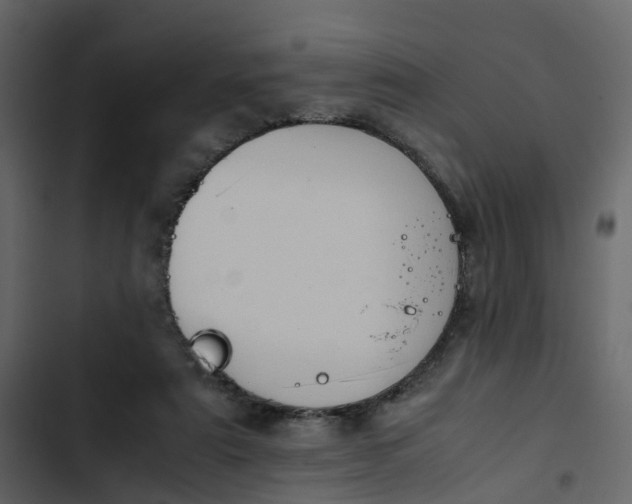 X0000102860307200809021431