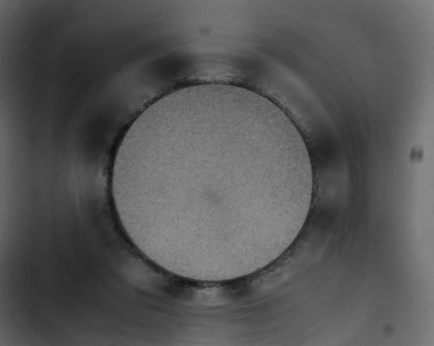 X0000102860309200809021431