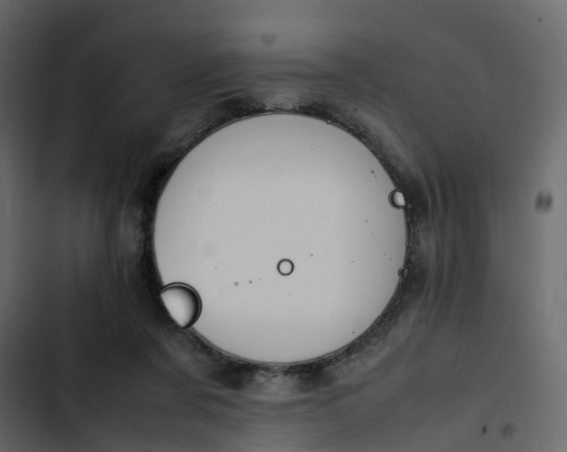 X0000102860311200809021431