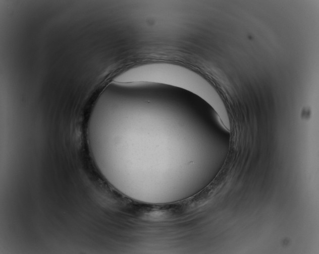 X0000102860312200809021430