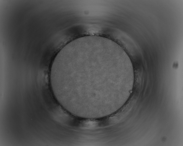 X0000102860313200809021430