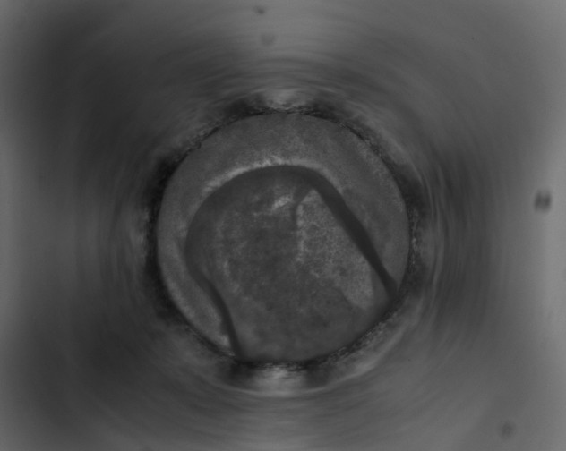 X0000102860319200809021430