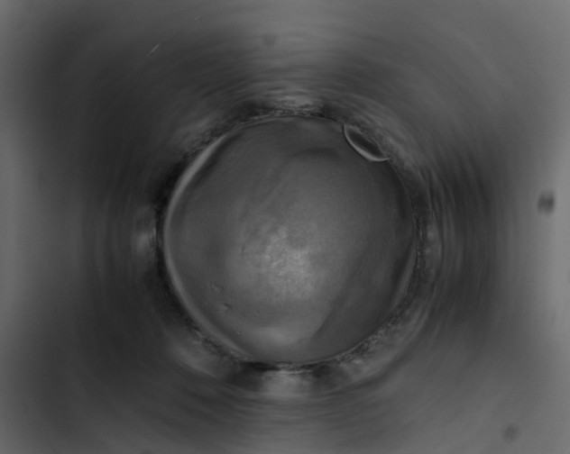 X0000102860320200809021430