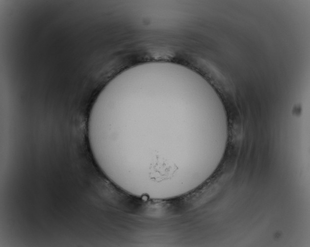 X0000102860321200809021430