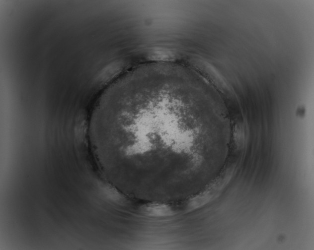 X0000102860322200809021430