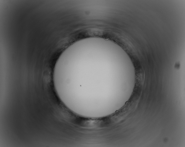 X0000102860323200809021430