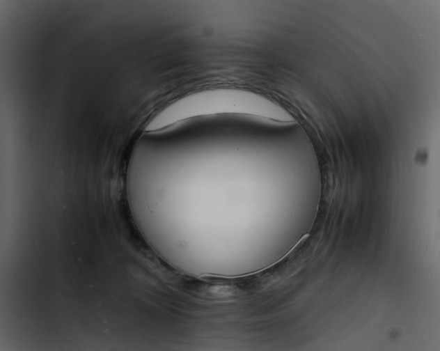 X0000102860324200809021430